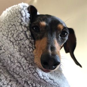 Meet your Posher, Carys